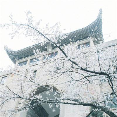 2024现代战舰手游下载