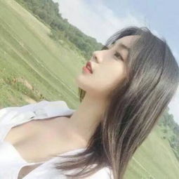 飞机世界手游下载