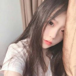 乱斗堂2官方下载