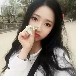 梦幻寻秦游戏下载